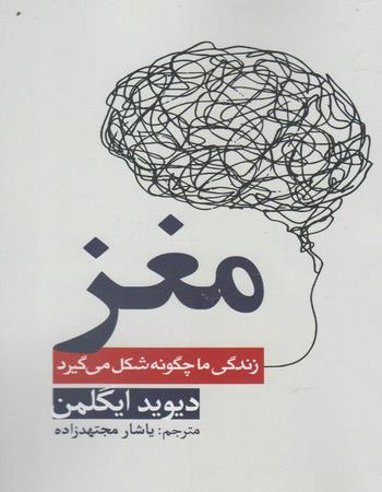 مغز زندگی ما چگونه شکل می‌گیرد